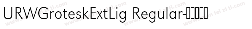 URWGroteskExtLig Regular字体转换